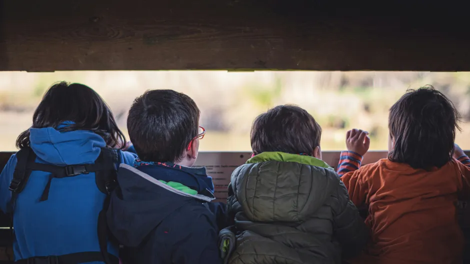 Kinder erkunden Natur
